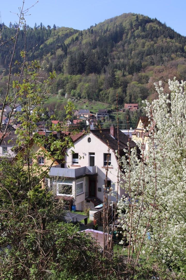 Umgebung