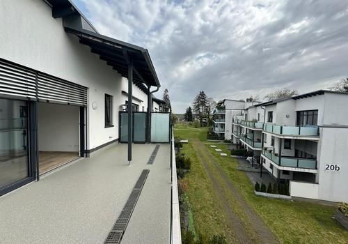 Blick in den Garten