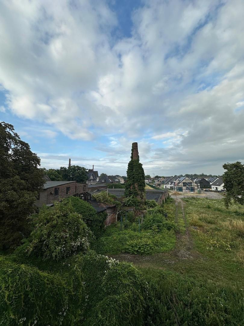 Blick ins Grüne