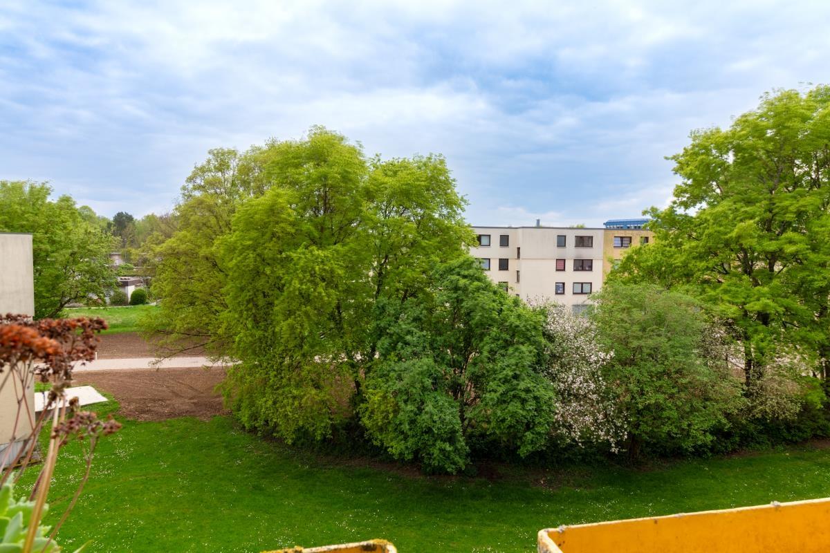 Ausblick