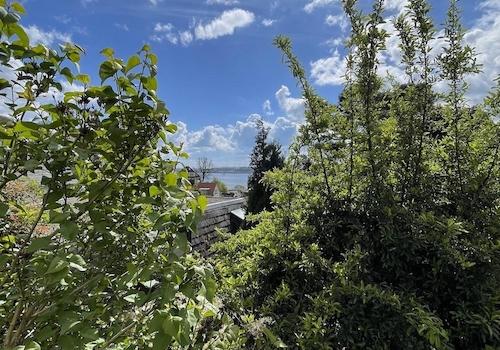 Elbblick vom Garten