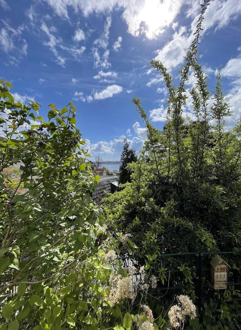 Elbblick vom Garten