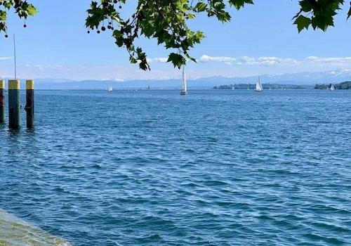 Nur wenige Meter vom See