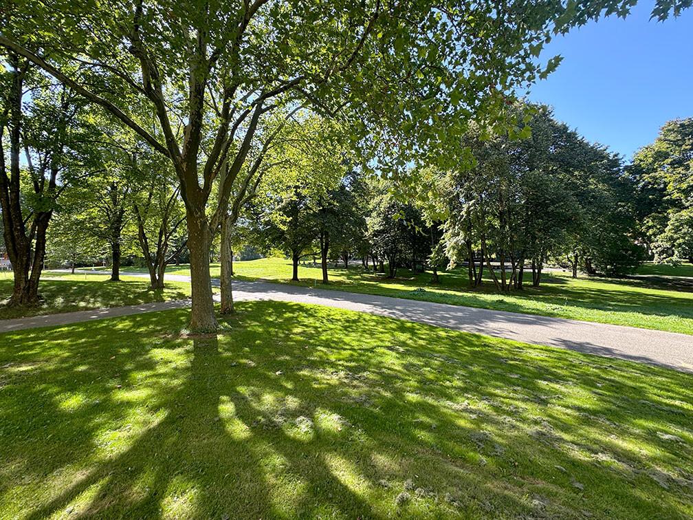  Park ca. 100 Meter entfernt