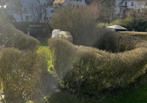 Garten einsicht vom Balkon