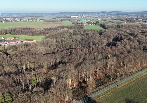 Gemarkung: Wennigsen