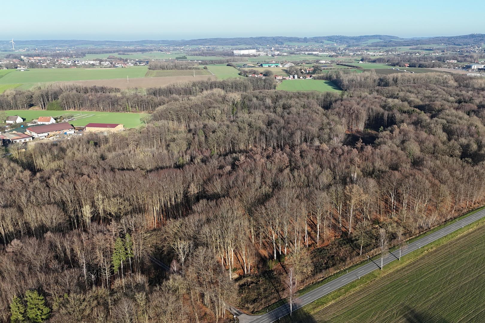 Gemarkung: Wennigsen