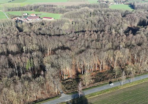 Gemarkung: Wennigsen
