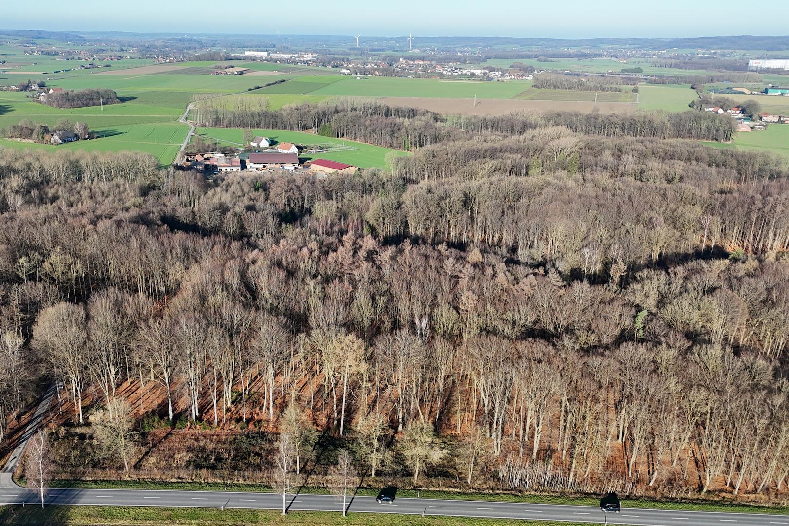 Gemarkung: Wennigsen