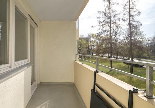 Grünblick & Sonne