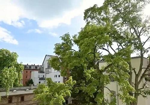2.OG Ausblick vom Balkon