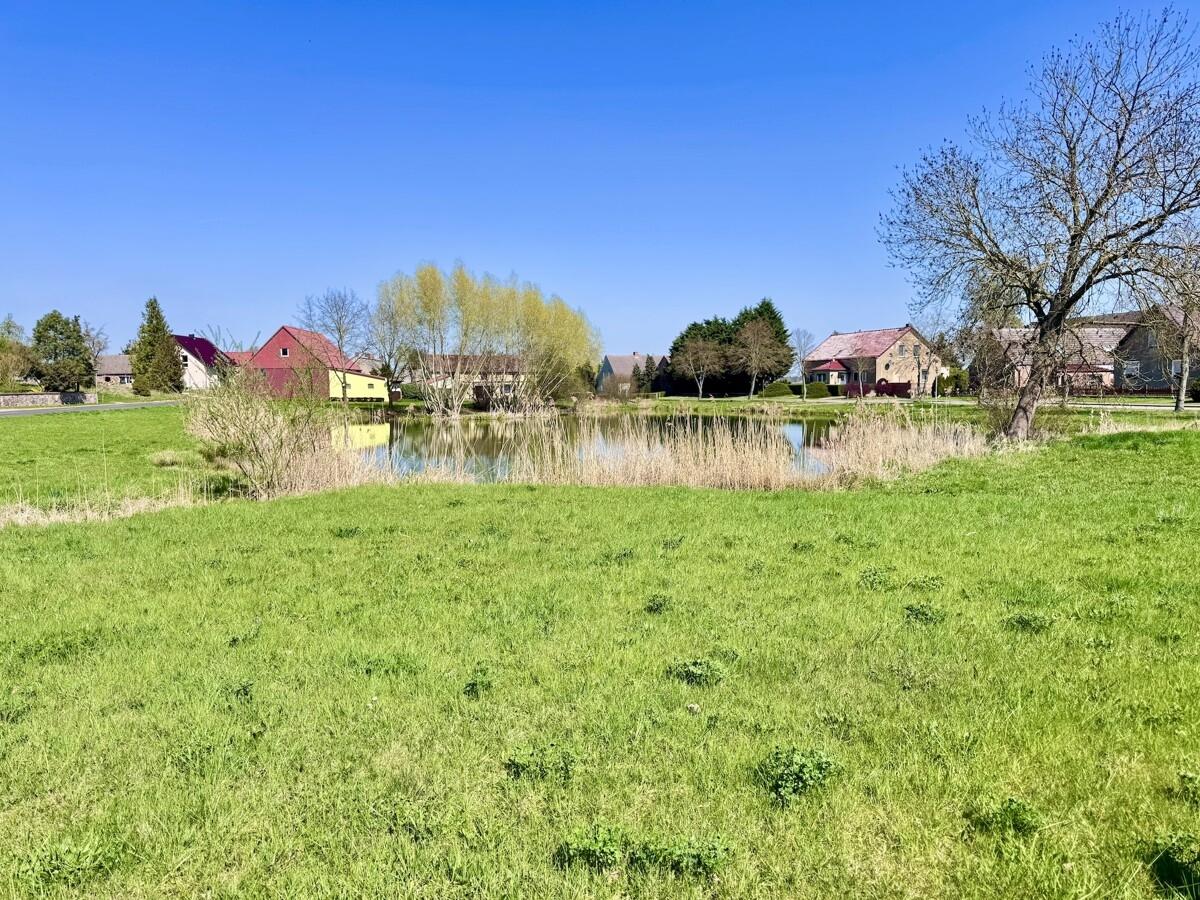 Dorfteich