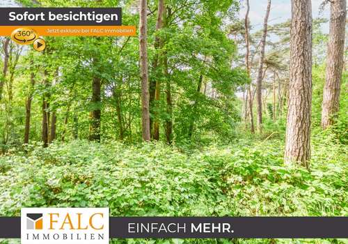 Naturbelassener Waldbereich
