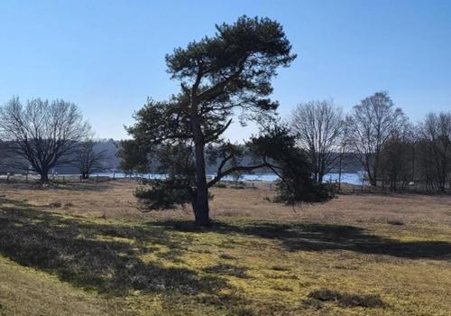 Natur