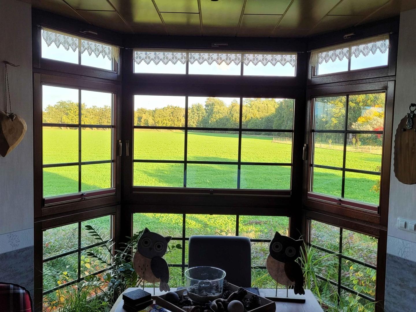 OG Whg. Essen - Ausblick