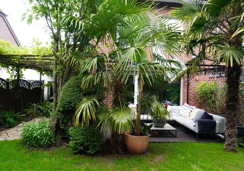 Ansicht Garten Südseite