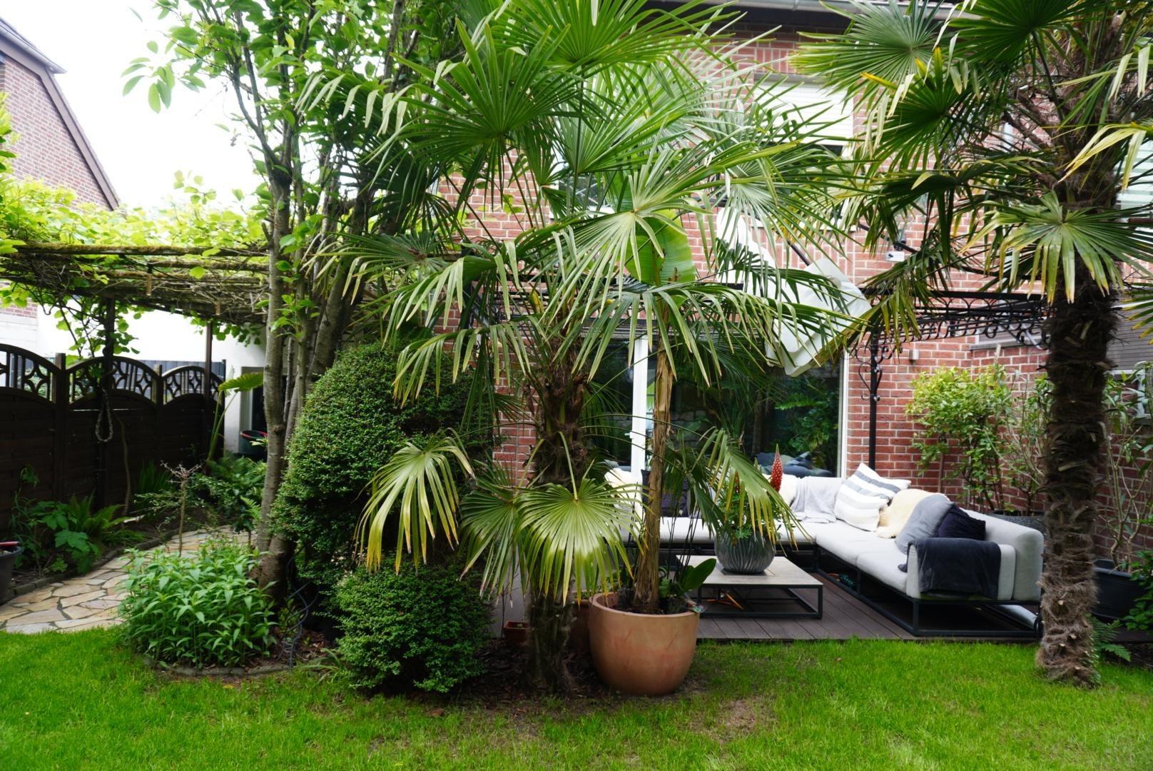 Ansicht Garten Südseite
