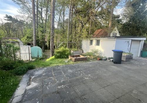 Blick in den Garten 