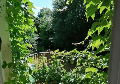 Sicht zum Garten, Balkon (2)
