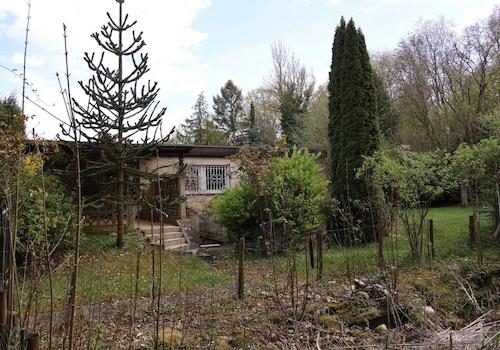 Blick vom Garten (+ Teich) 