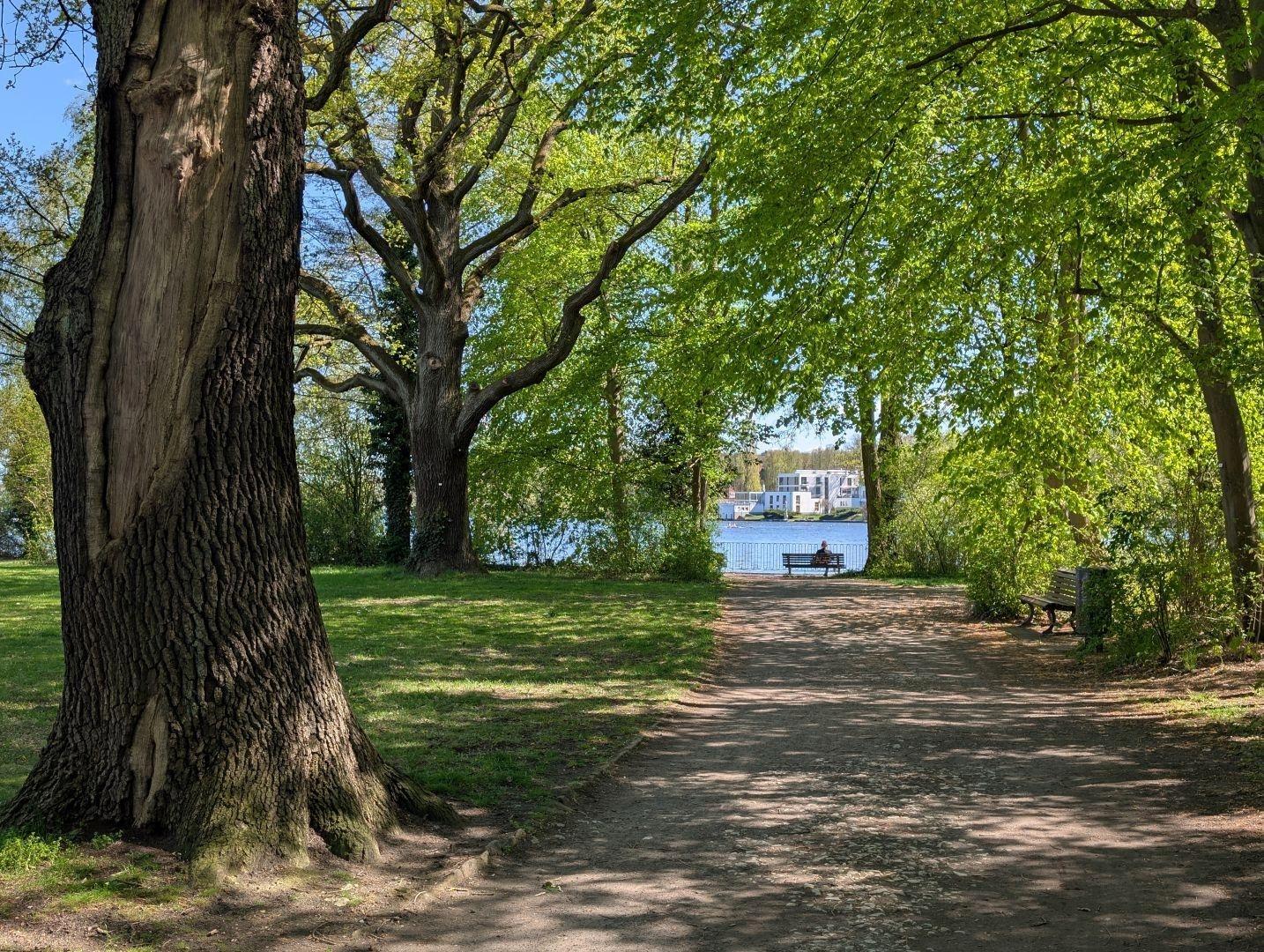 Blick zum Wasser