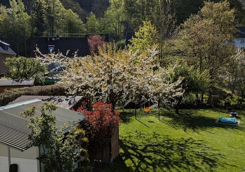 Blick von Terrasse in Garten