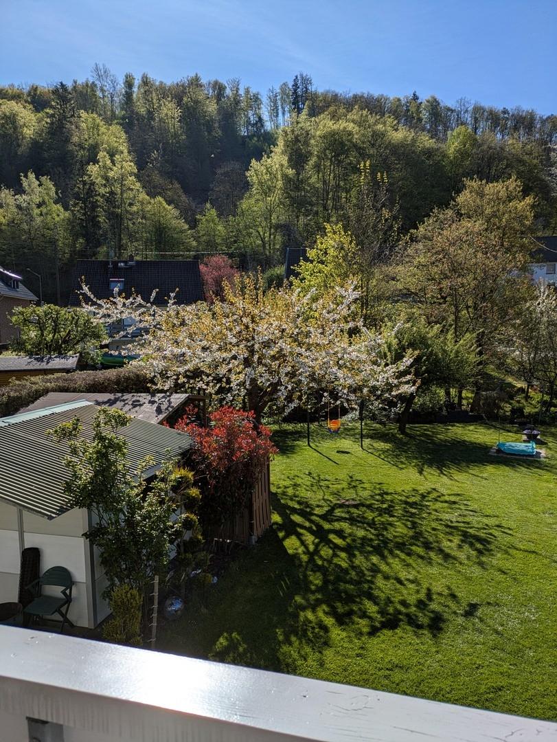 Blick von Terrasse in Garten