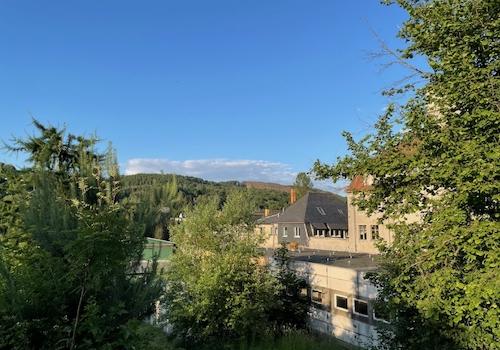 Im Grünen