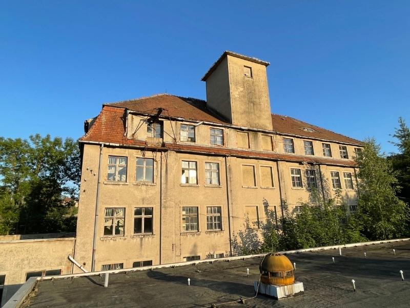Oberer Kopfbau (1)