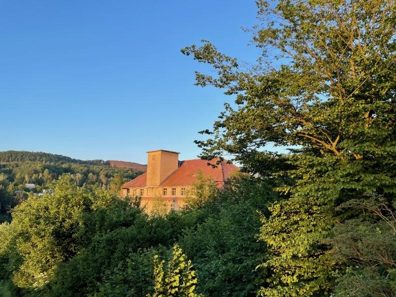 Oberer Kopfbau (2)