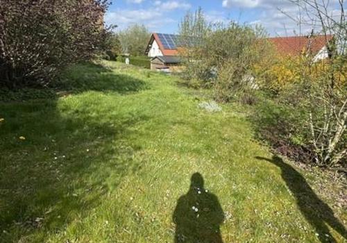 12 Garten