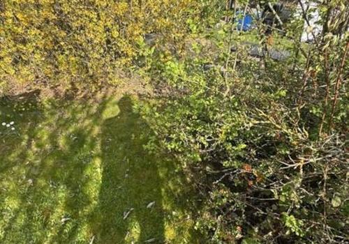14 Gartengrenze