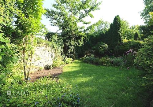 Garten noch mit Thuja-Hecke