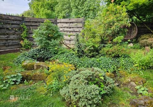 Garten nach Umgestaltung