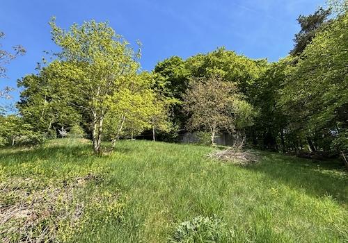 Naturnah bauen in Starnberg