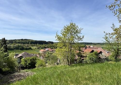 zauberhafter Blick