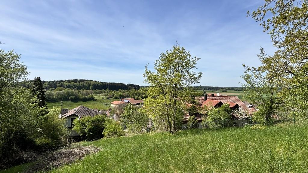zauberhafter Blick
