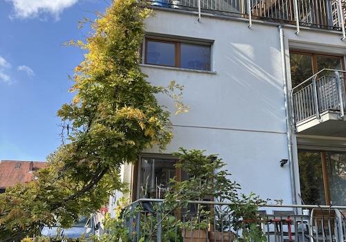 Terasse und Garten