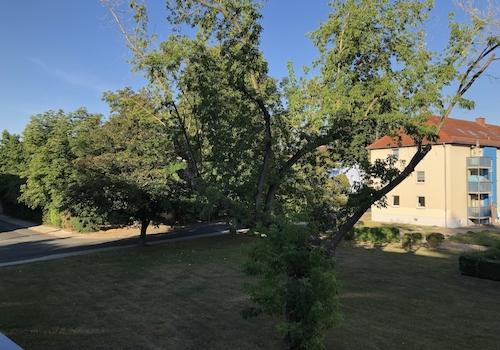 Ausblick Balkon