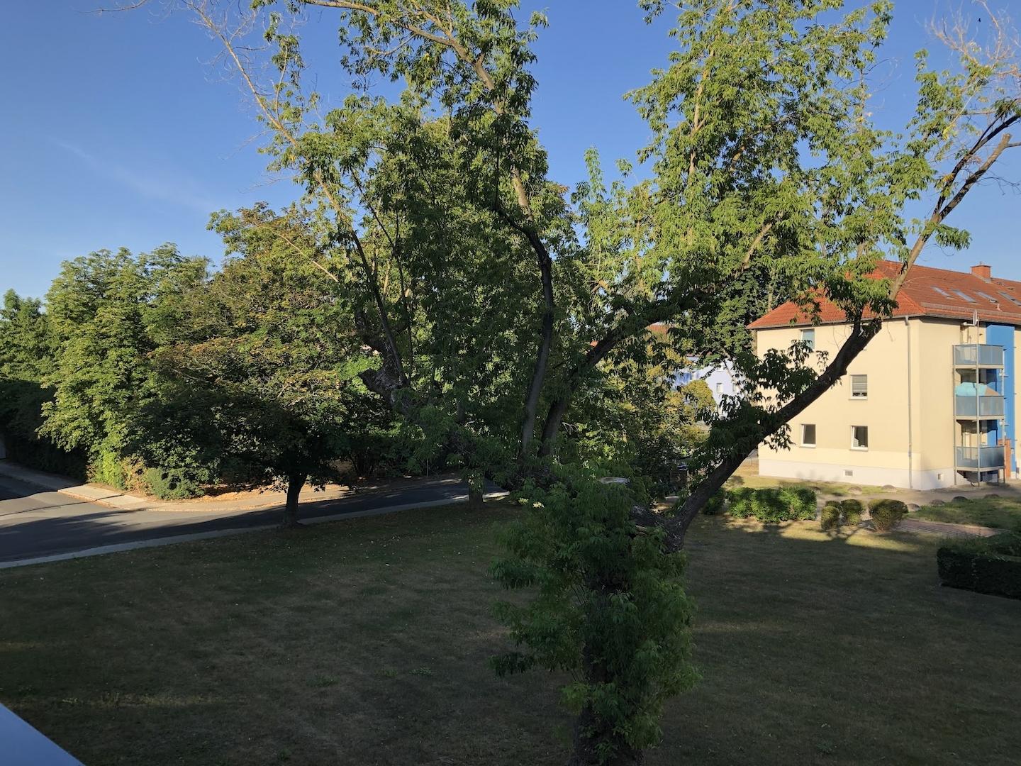 Ausblick Balkon