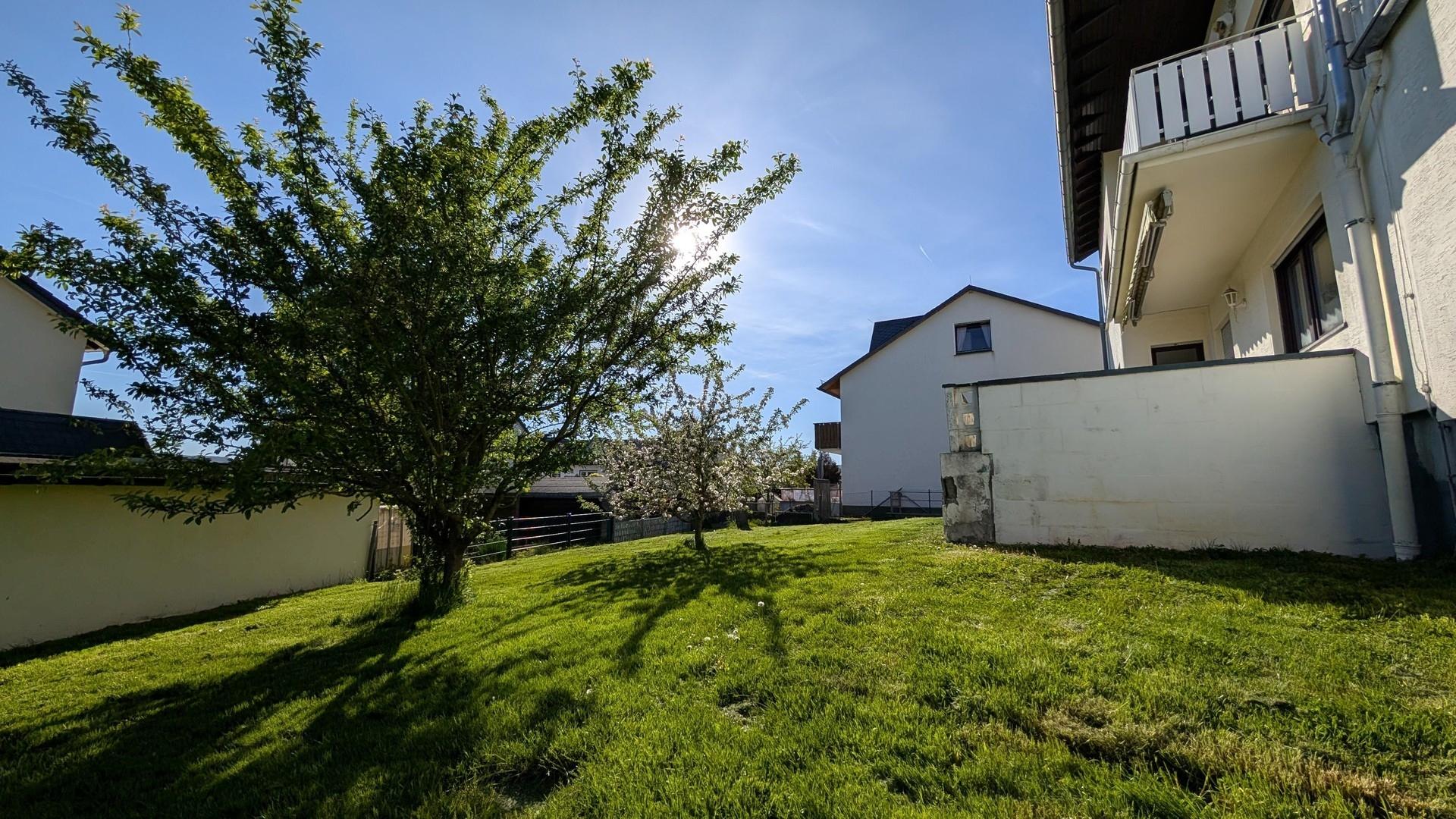 Garten / Nach Westen