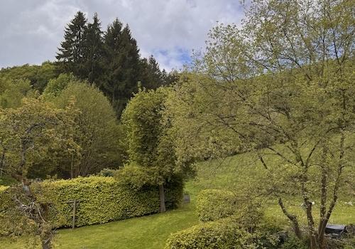Gartenblick