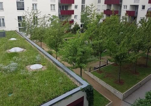 Blick vom Kinderzimmer
