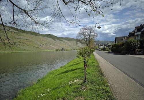 Moselufer Richtung Bernkastel-Kues
