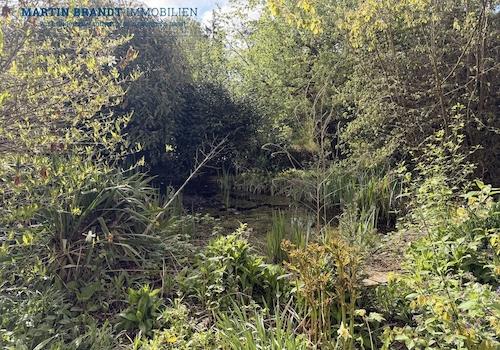 Teich im Garten