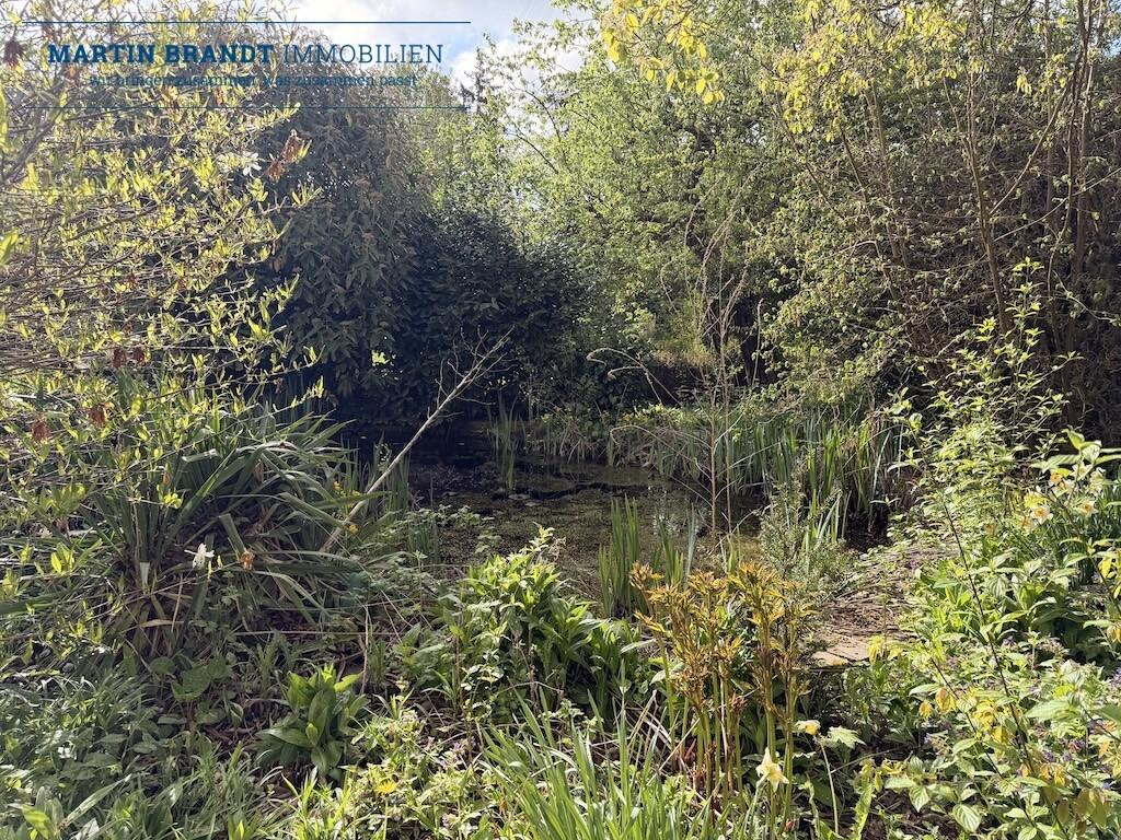 Teich im Garten
