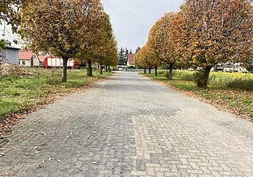 Zufahrt Allee