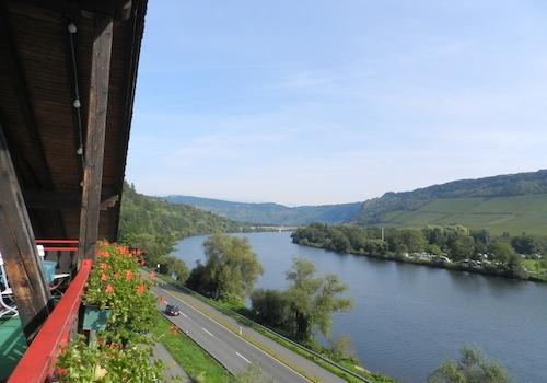 Blick Richtung Wolf