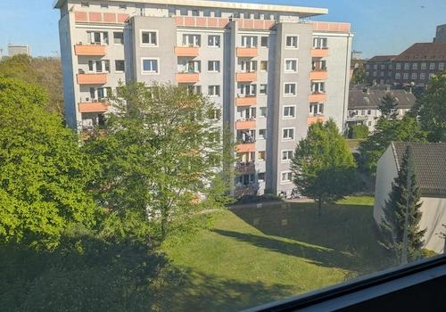 Blick ins Grüne
