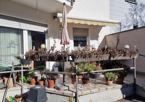 Terrasse EG vom Frühjahr